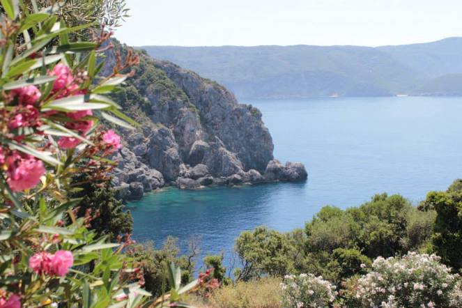 11887873_10206408414945926_4560479699715128875_n