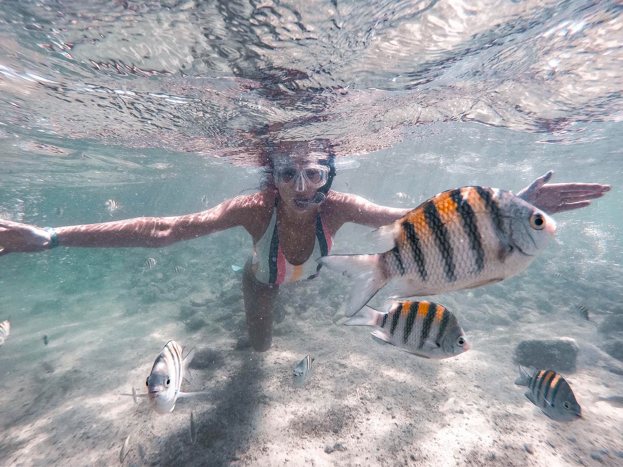 62218071_442736562956607_3426226021974671360_n